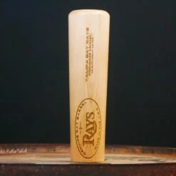 Tampa Bay Rays Drinking Model Dugout Mug®